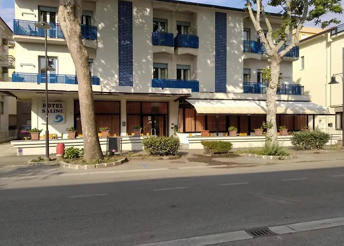Hotel Saline